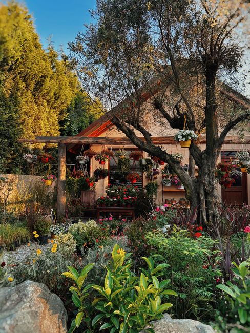 A lush garden scene featuring a variety of flowering plants and greenery, with a rustic wooden shed in the background. The garden is filled with colorful blooms including reds, pinks, and yellows, arr
